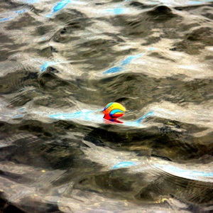 Ball 