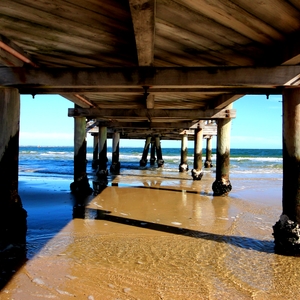Beach Pier 