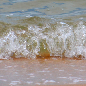 Bubbling 