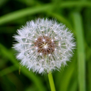Exploding Ball 