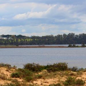 Lakes.JPG