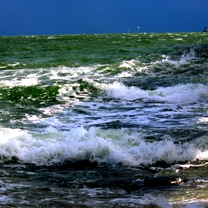 WildPier.JPG